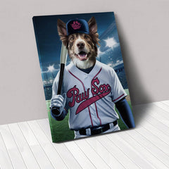 Boston Paw Sox