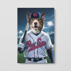 Boston Paw Sox