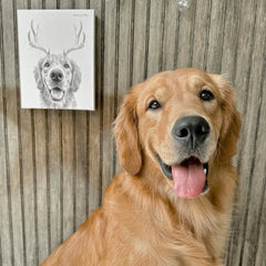 Elk Antlers Pet Portrait