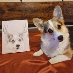 Elk Antlers Pet Portrait