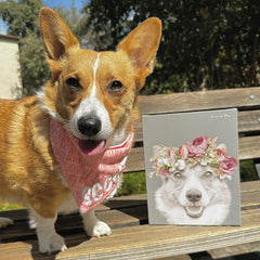 Floral Crown Pet Portrait