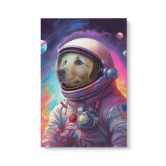 Galactic Pet